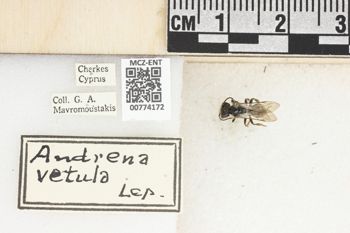 Media type: image;   Entomology 774172 Aspect: Labels
